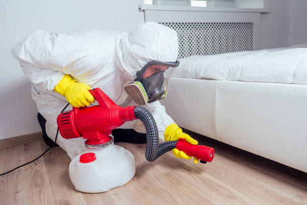 Best Indoor Pest Control  in Eustis, FL